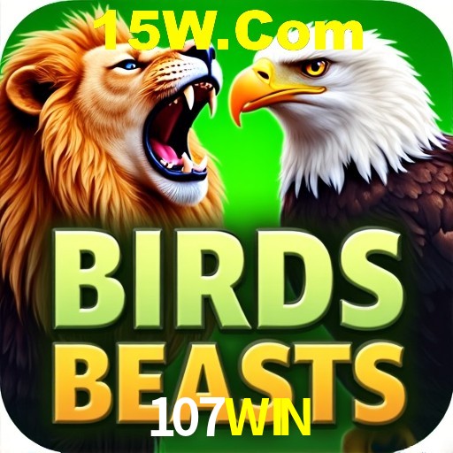107WIN — tipos de mensagem disponíveis no canal de opinião do aplicativo
